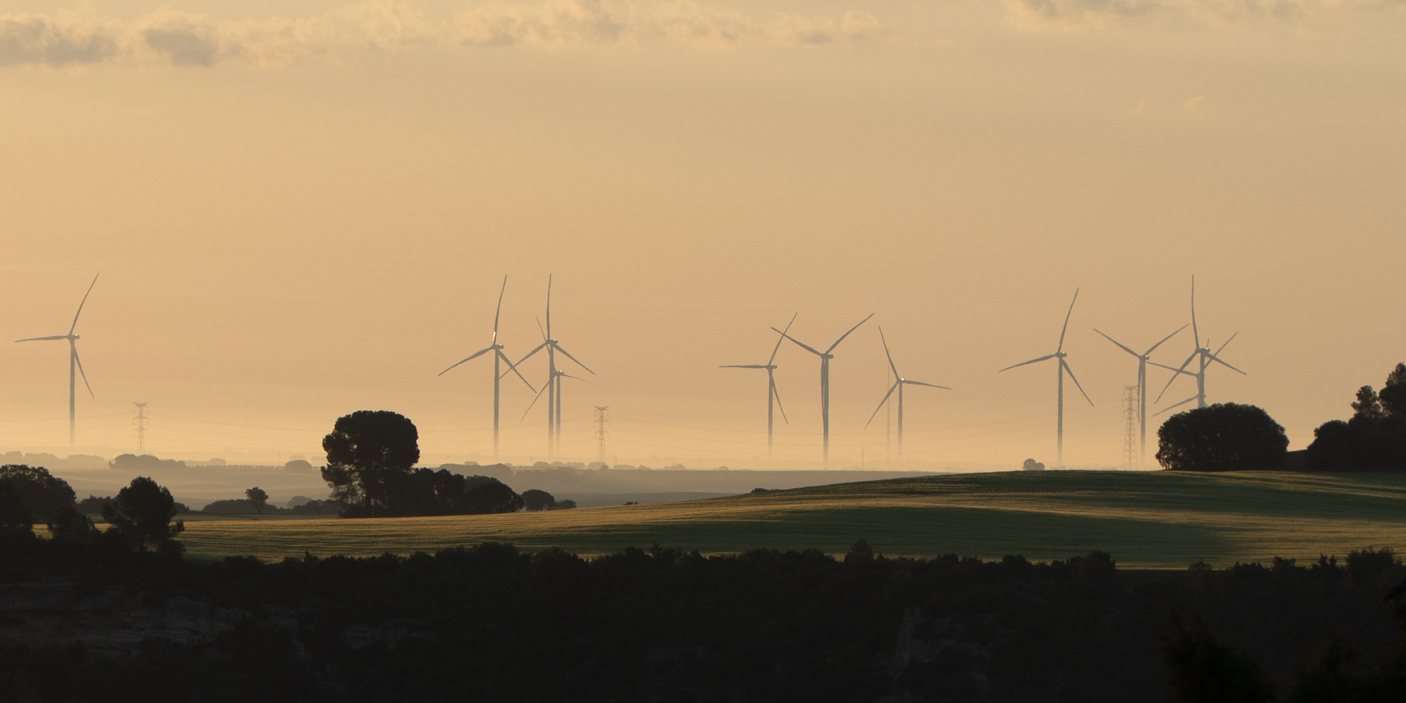 Digital photo, Castilla la Mancha 2025
