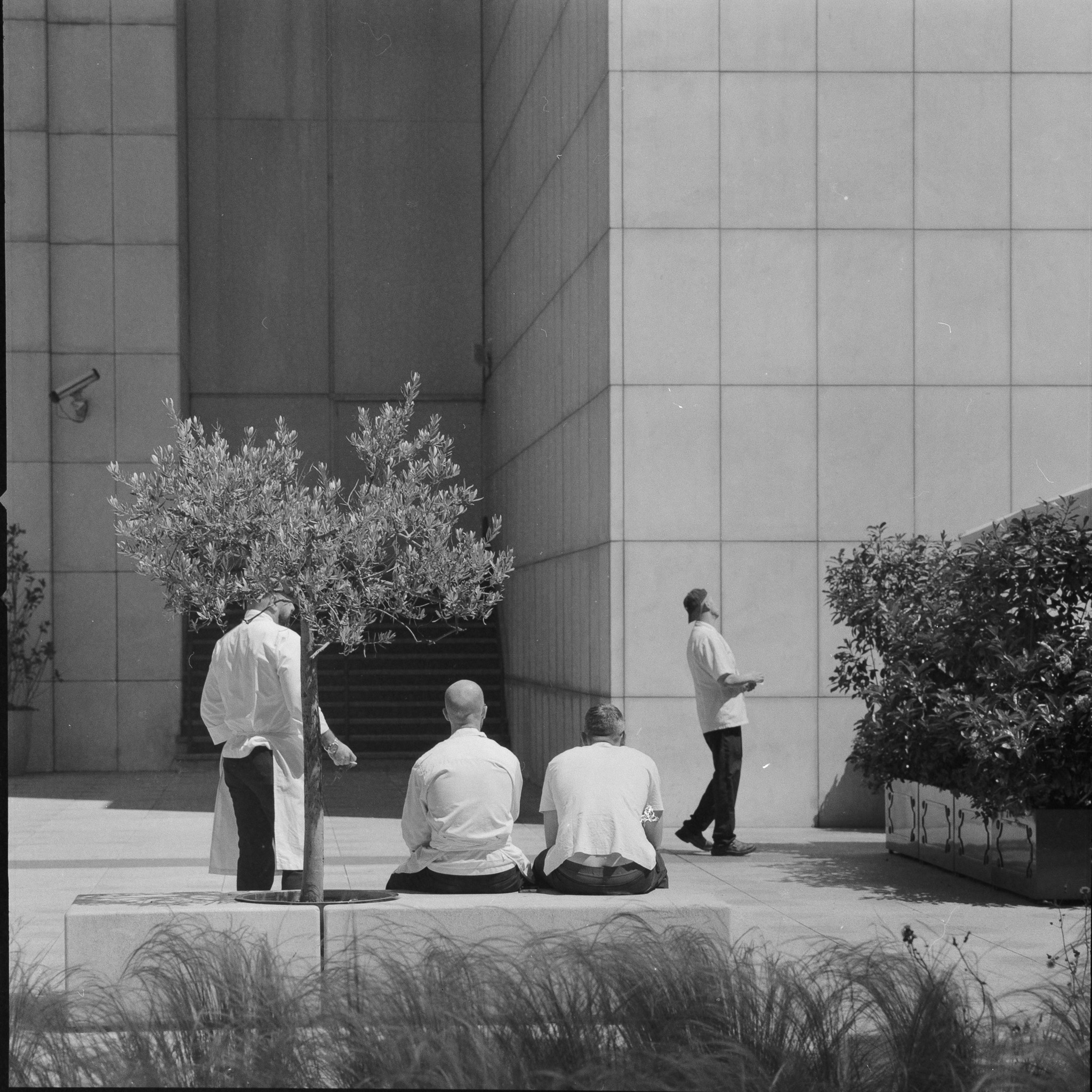 Analog photo, Madrid 2026